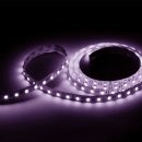 LED-Streifen RGB-Weiß 4-in-1 5m Rolle