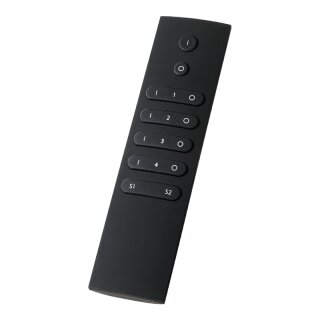 RF Mono Remote Controller Style