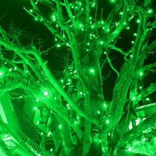 20m StringLite120 LED grün ws