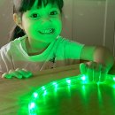 LED-Lichtschlauch grün High-End 1 - 45m...