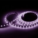 LED-Streifen RGB-neutralweiß 4-in-1 5m
