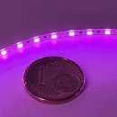Modellbau LED-Lichterkette pink