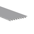 Muster Einschiebe-Grundplatte PS-LINE HSB 2m silber