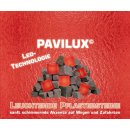 LED-Leuchtpflasterstein 6er-Set "Pavilux",...
