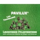 LED-Leuchtpflasterstein 6er-Set "Pavilux",...
